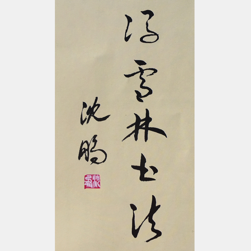 中國書法書法家協(xié)會(huì)主席沈鵬為馮雪林題詞
